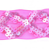 Bande tulle et paillettes